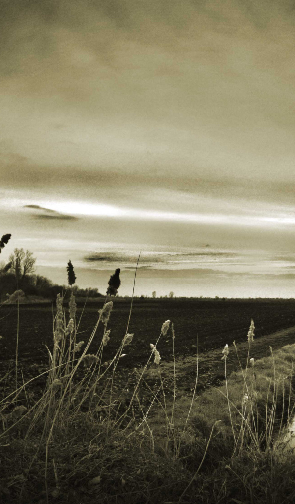 Оросительный канал