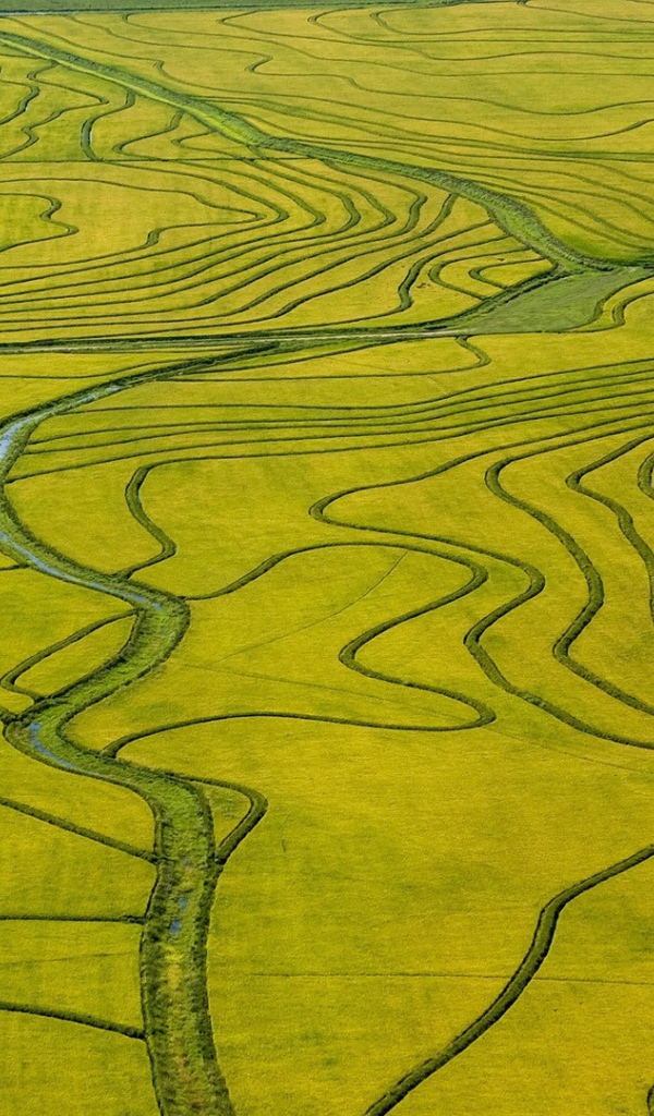 Оросительные каналы на поле необычной формы