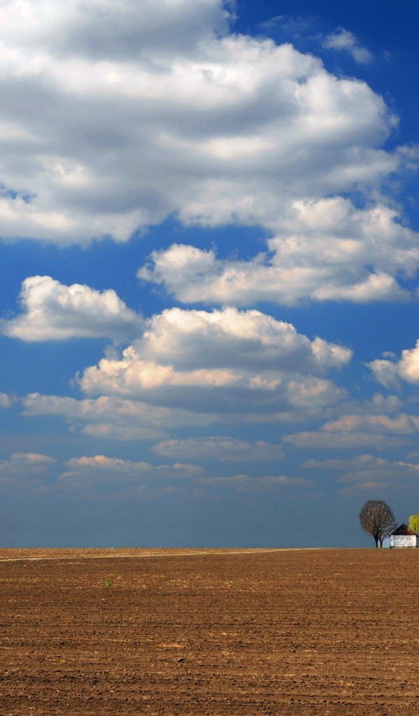 Одинокое строение среди вспаханного поля