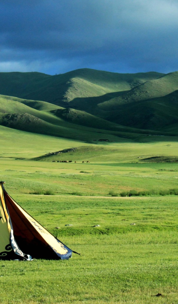 Шатер кочевников в поле