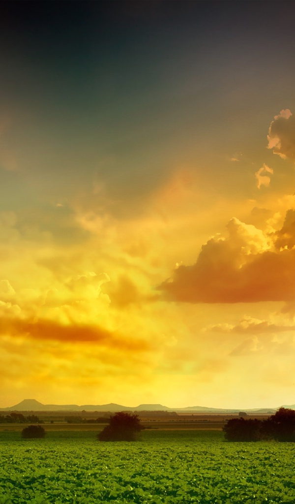 Оранжевое небо над зеленым полем