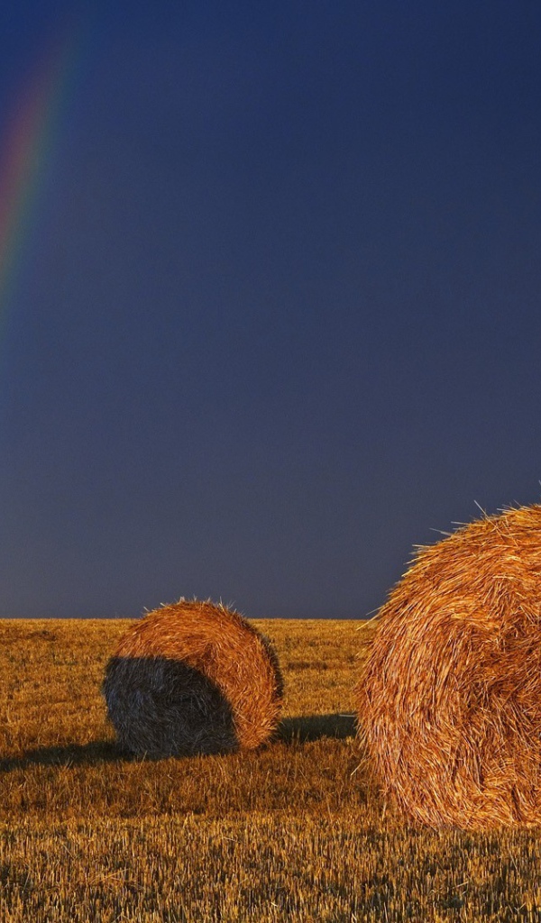 Радуга позади убранного поля