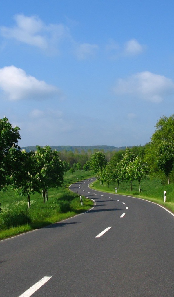 Ровная дорога среди полей в Украине