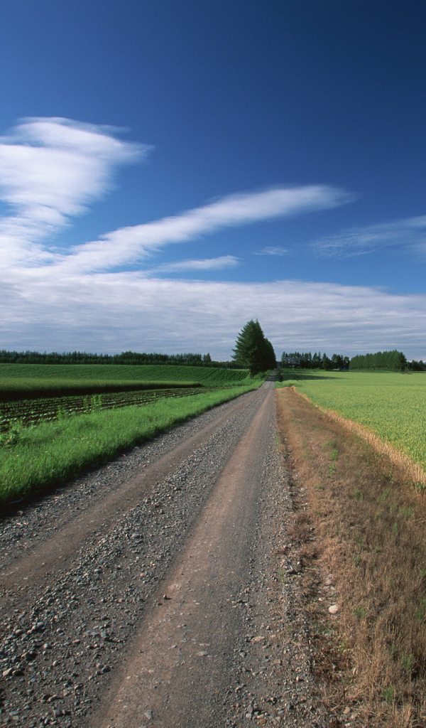 Прямая грунтовая дорога