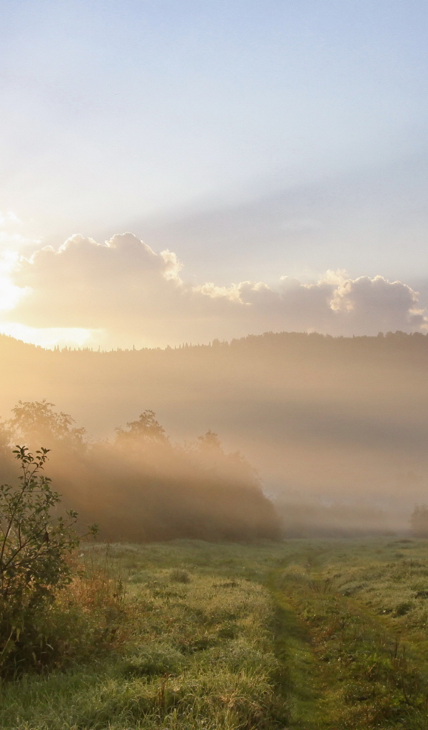 Восход солнца из за холма