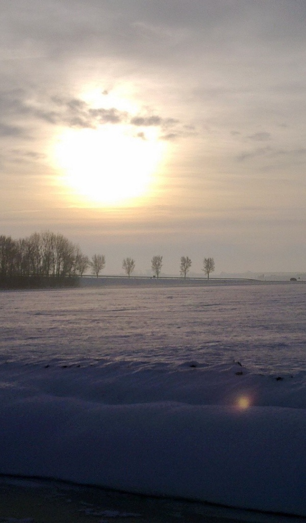 Заметенное снегом поле