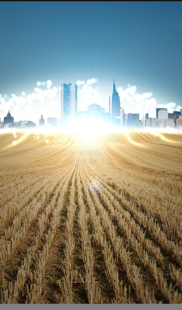 Город мираж на поле