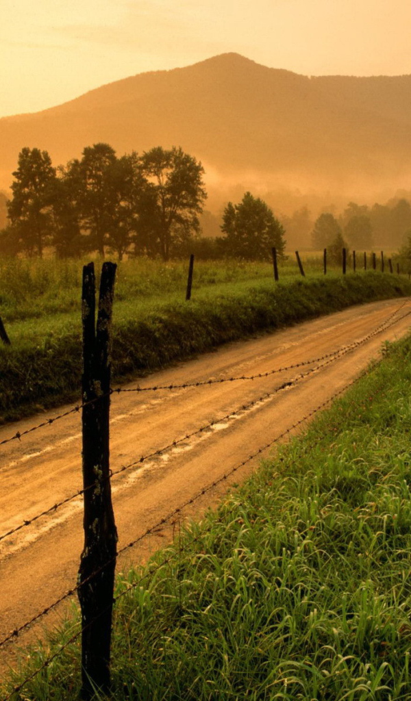 Дорога за колючей проволокой