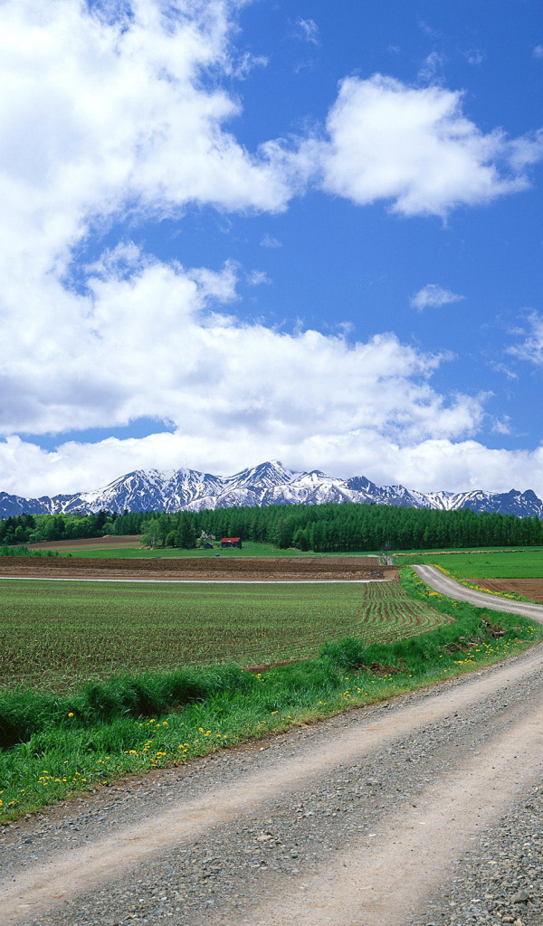 Дорога ведущая в горы