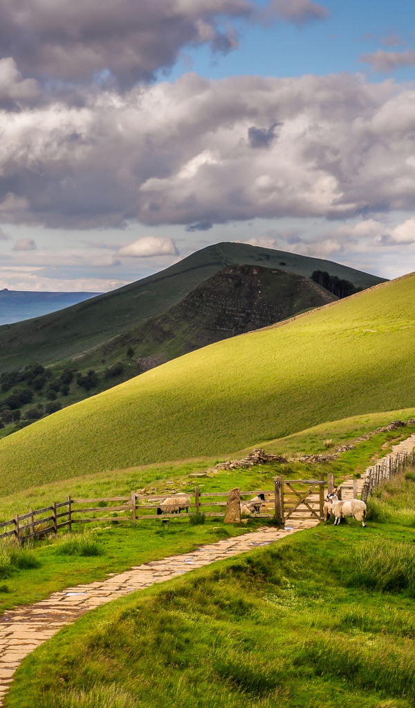 Дорога на холмах