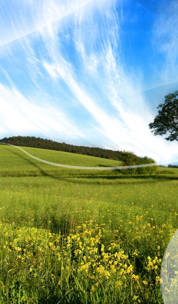 Белая линия на поле