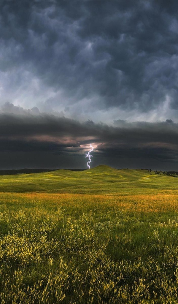 Гроза приближается к зеленому полю