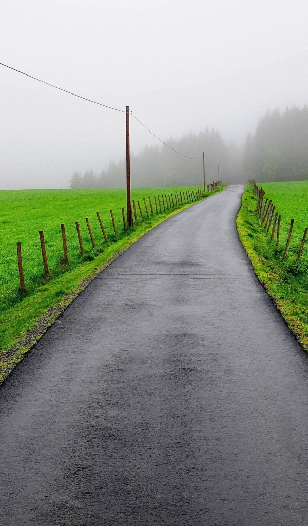 Мокрая дорога между зеленых полей