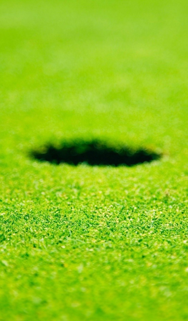 Белый мяч для гольфа у лунки