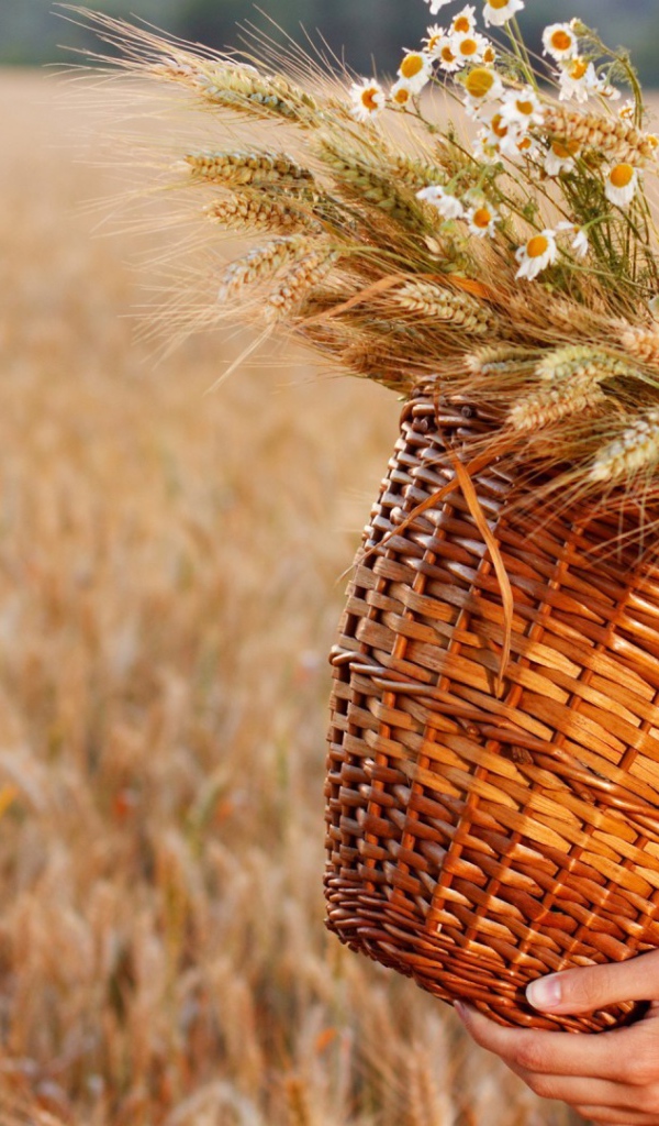 Плетеная корзина с колосками и полевыми цветами
