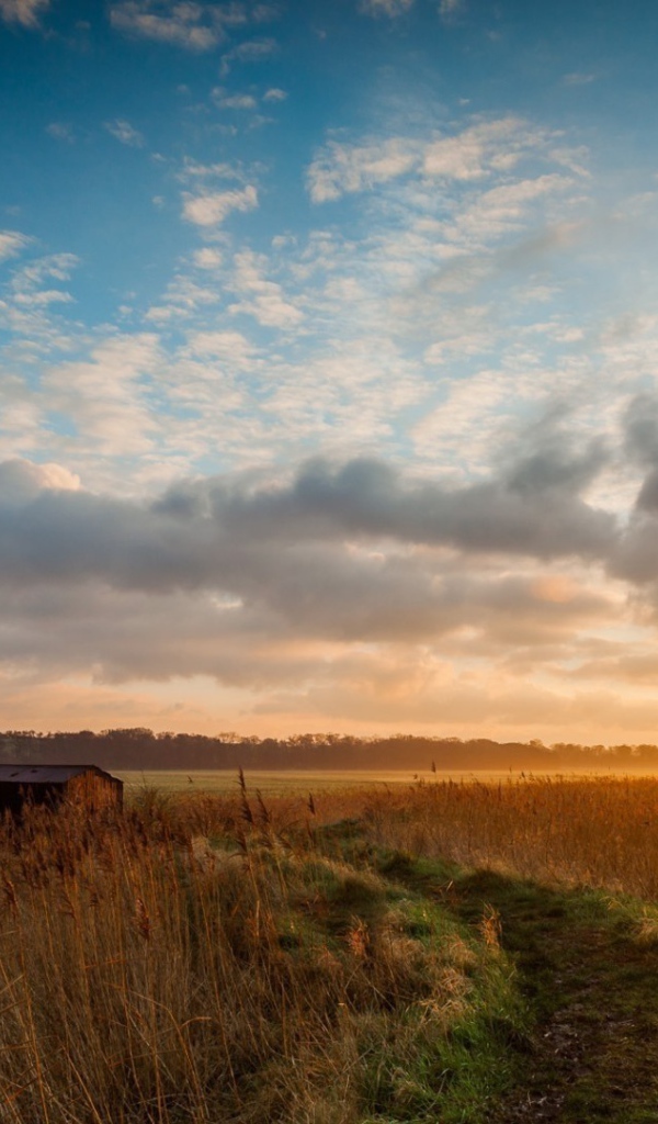 Мельница среди поля на фоне заката