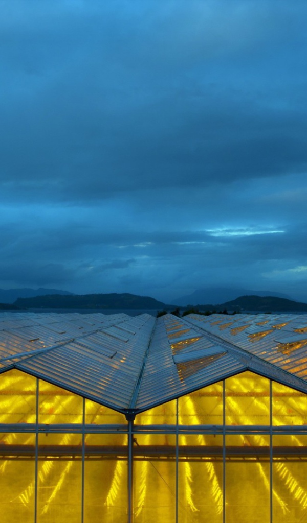 Желтый свет в стеклянных теплицах