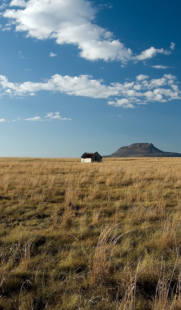 Одинокий дом посередине поля