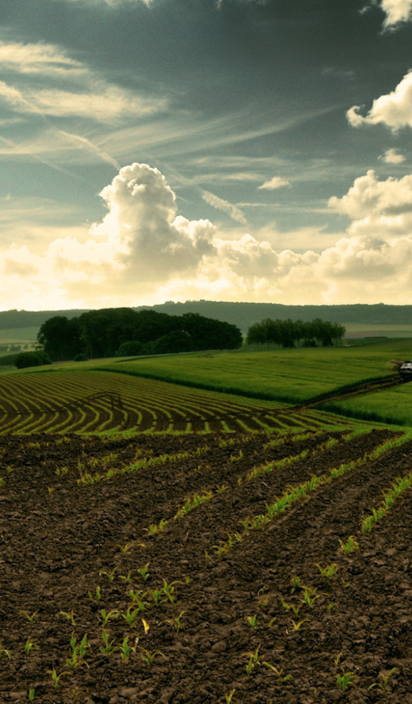 Перепаханное поле