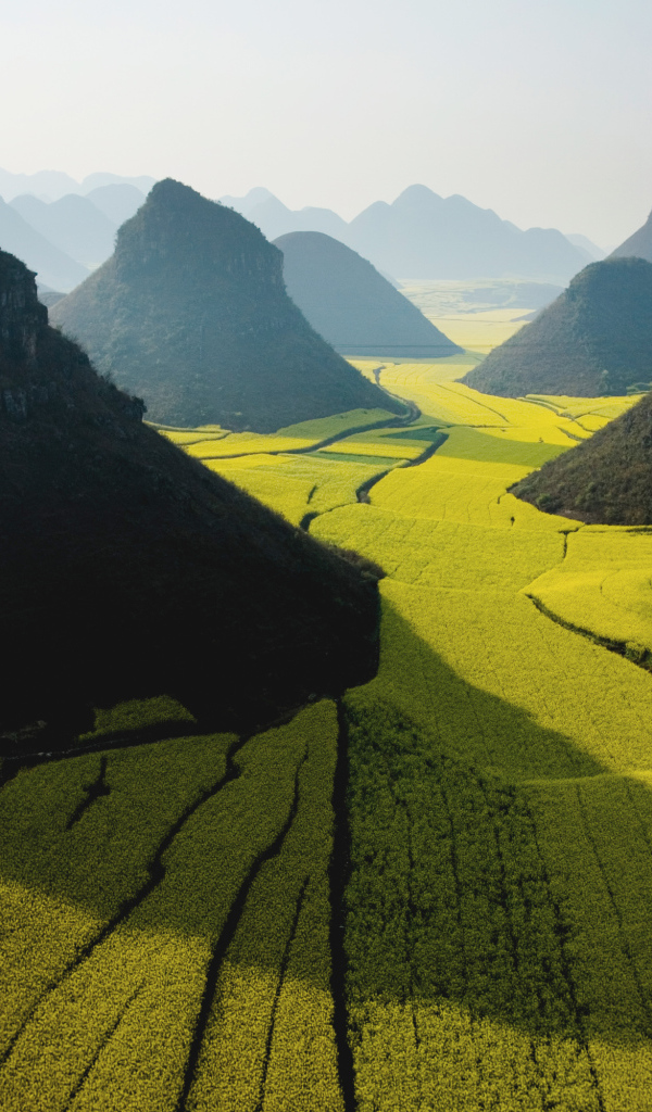 Поля среди черных гор