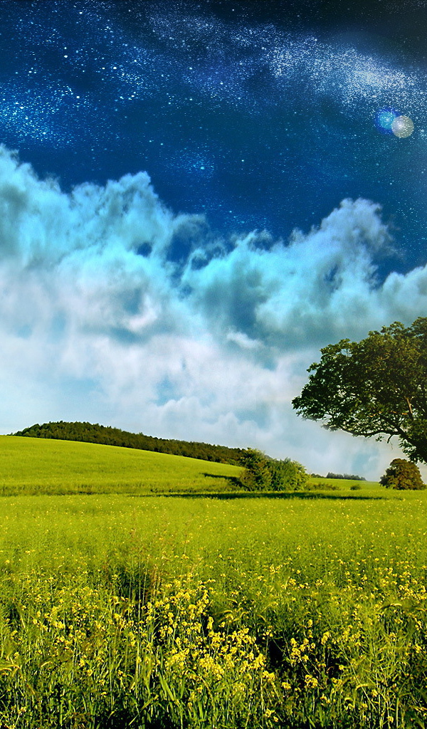 Поле и звездное небо