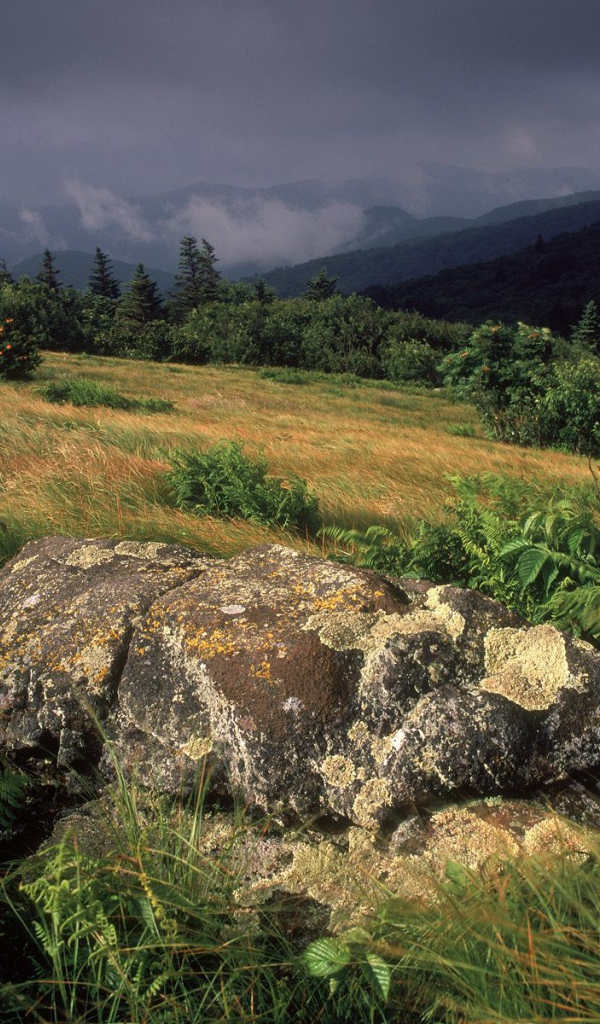 Камень посреди поля