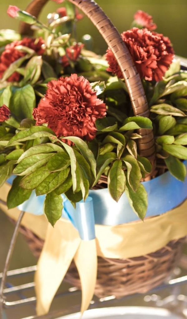 Корзина цветов на багажнике велосипеда