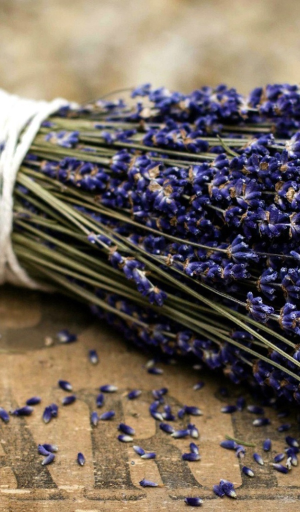 Букет цветов лаванды