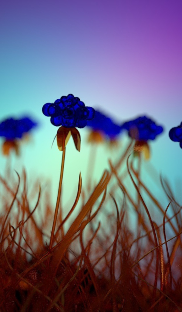 Засохшие голубые цветы