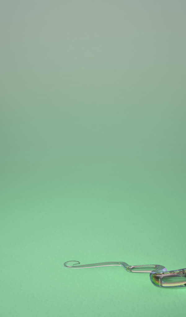 Два цветка в вазе