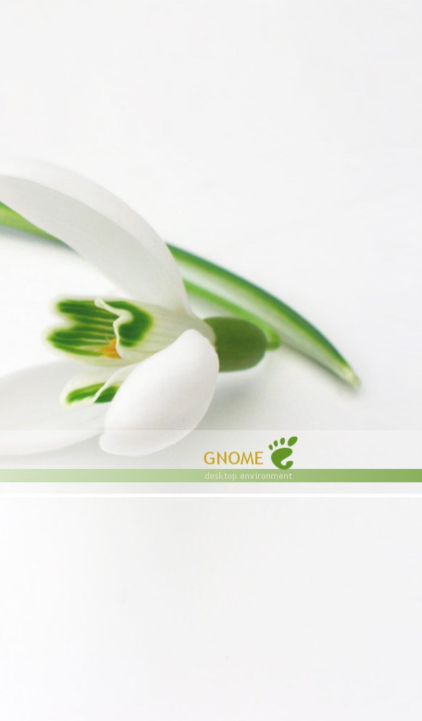 Белый цветок на белом фоне