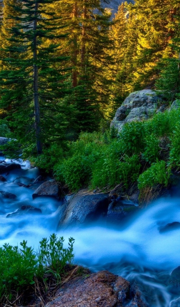 Голубой ручей среди горного леса