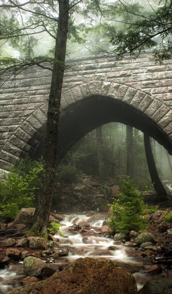 Ручей под каменным мостом в лесу