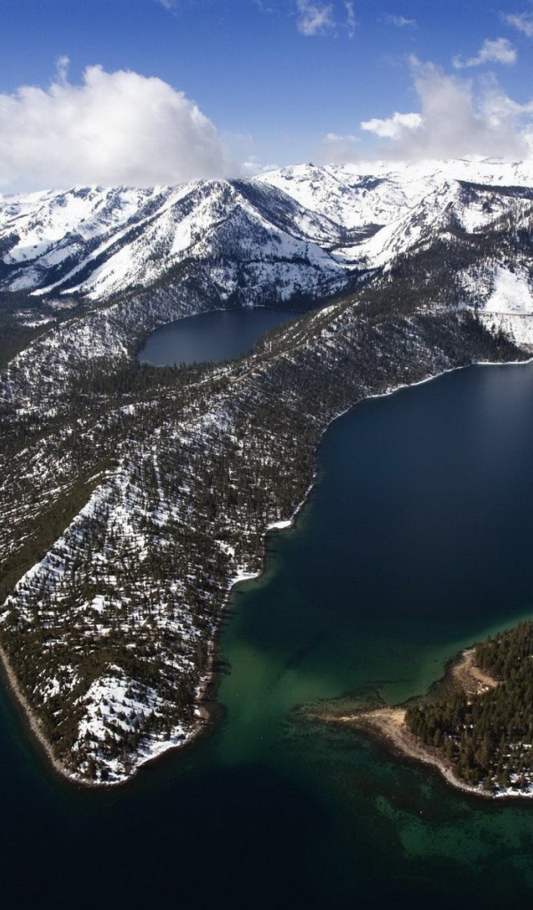 Густой заснеженный лес в горах, спускающихся к морю