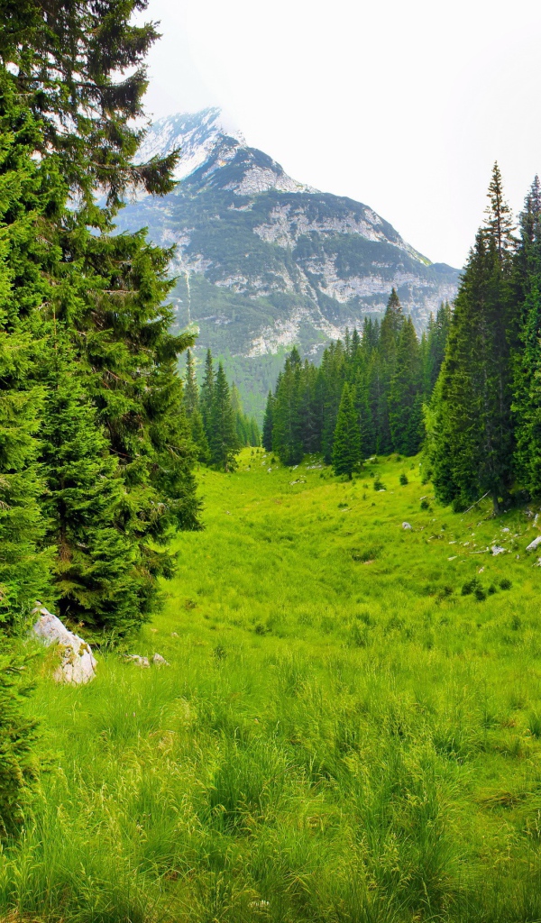 Сказочная природа предгорья