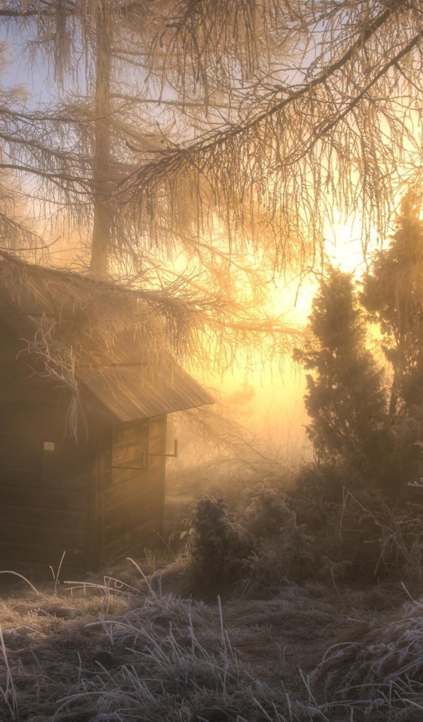 Охотничья избушка в морозном лесу