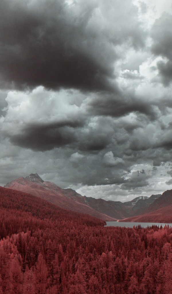 Рыжий лес в предгорье