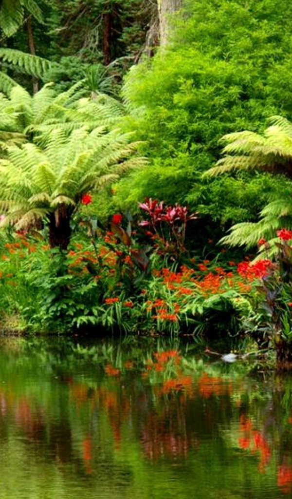 Тропический лес на берегу реки