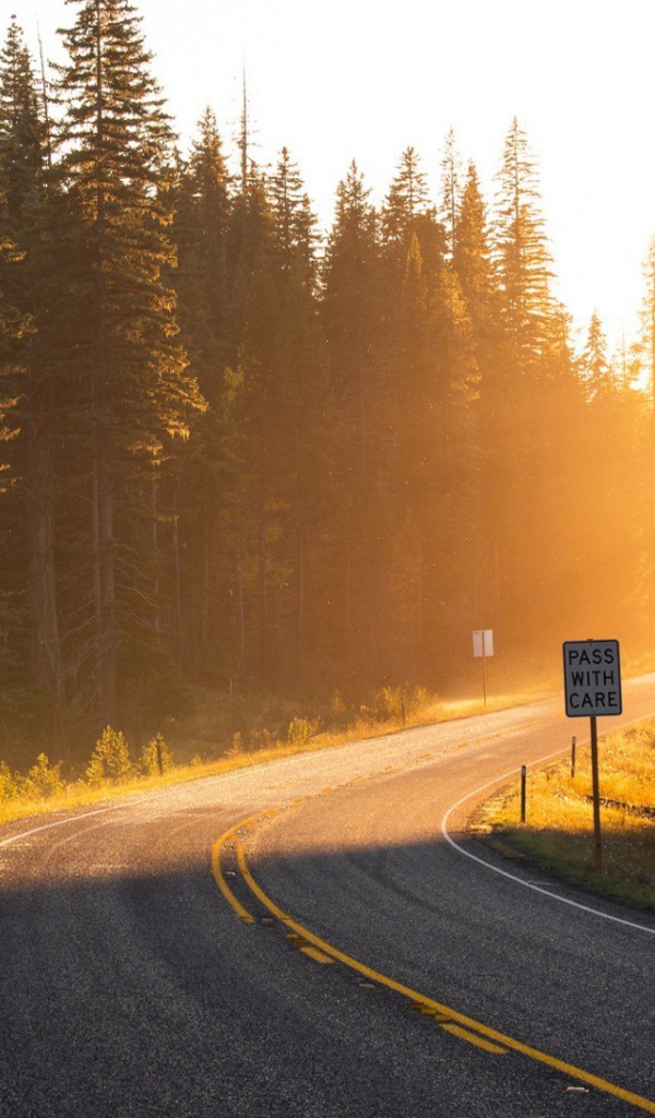 Поворот на лесной дороге