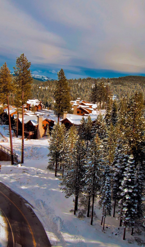 Поселок в зимнем лесу