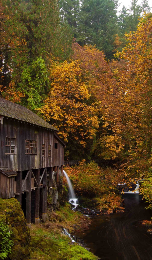 Деревянный дом над речушкой в лесу