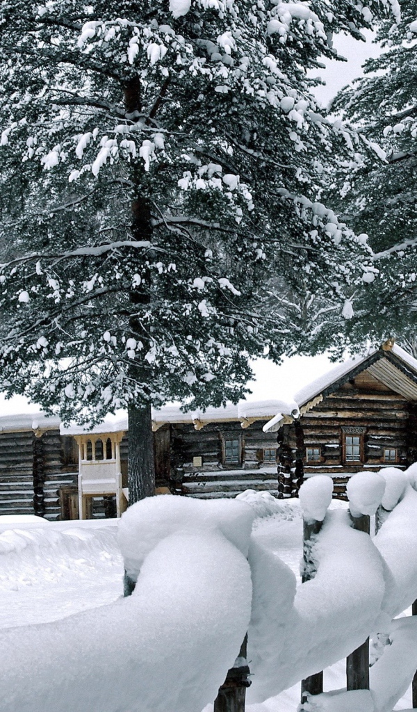 Деревянный дом в чаще зимнего леса