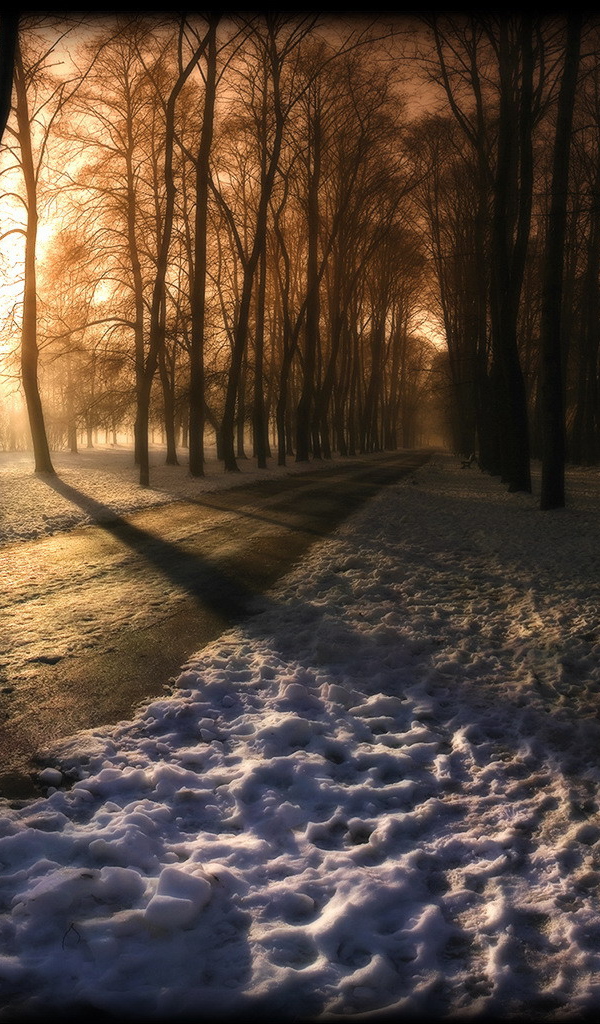 Вечер в заснеженном парке