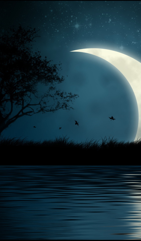 Большая луна на острове