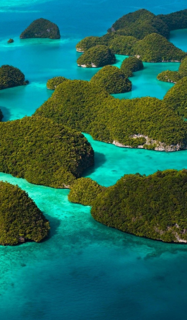 Покрытые лесом острова среди голубой воды