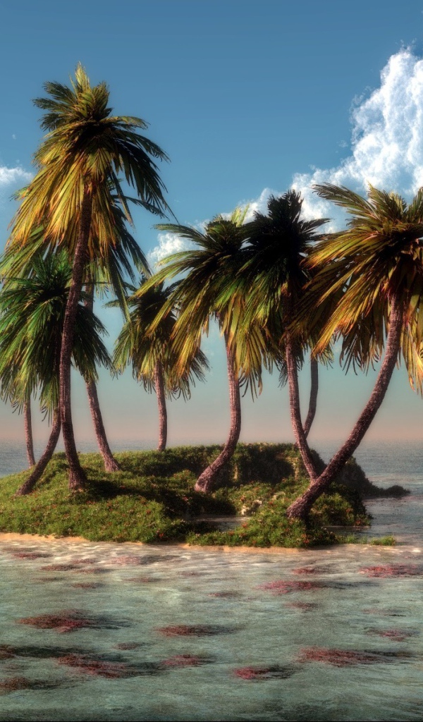 Немного зелени на затерянном островке