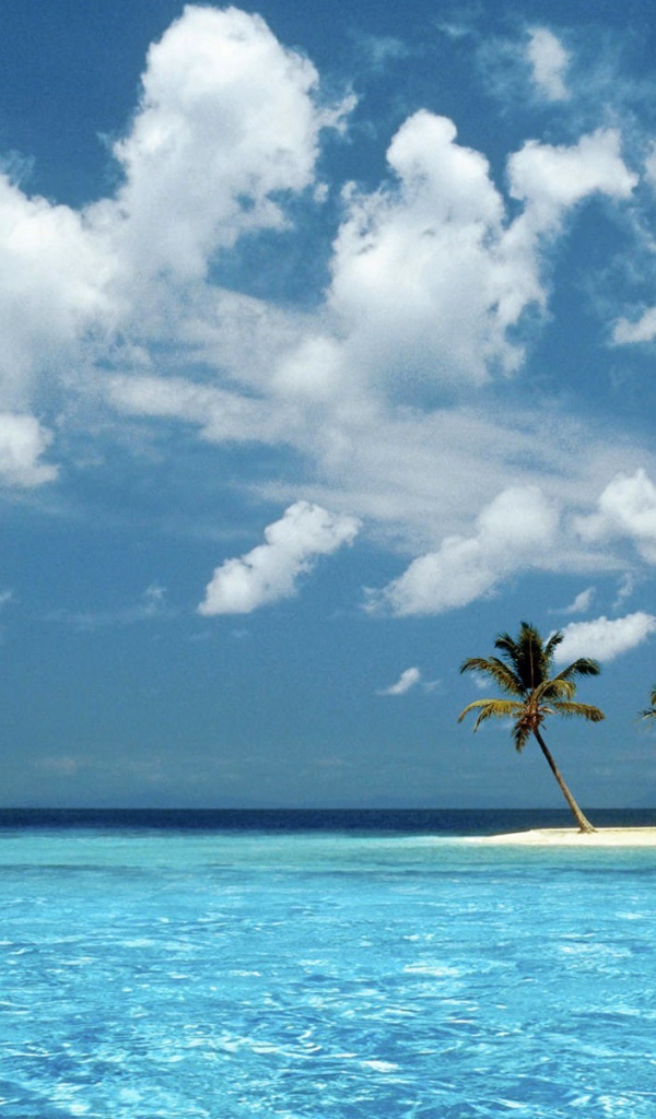 Парусник у песчаного острова с пальмами