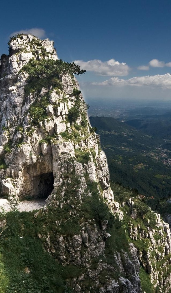 Меловые скалы поросли зеленью