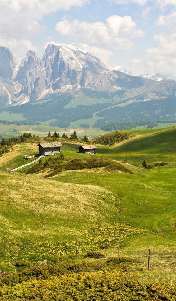 Фермы на зеленых полях среди гор