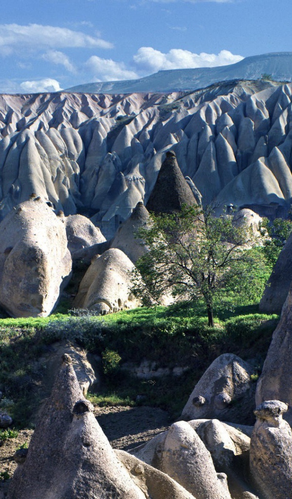 Поле конусо подобных скал в горах